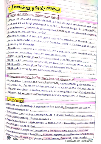 Lisosomas-y-Peroxisomas.pdf