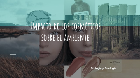 Impacto-Ambiental1.pdf