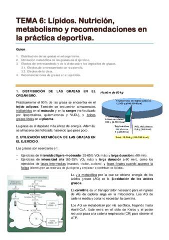 TEMA 6. Lípidos. Nutrición metabolismo y recomendaciones en la práctica deportiva.pdf