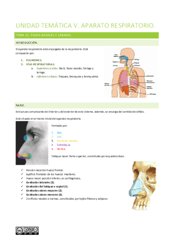 Unidad-tematica-V.pdf