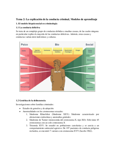 Tema 2 (1).pdf