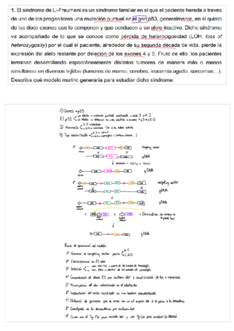 Ejercicios-OMG.pdf