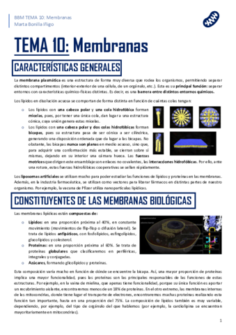 resumen-tema-10-BBM.pdf