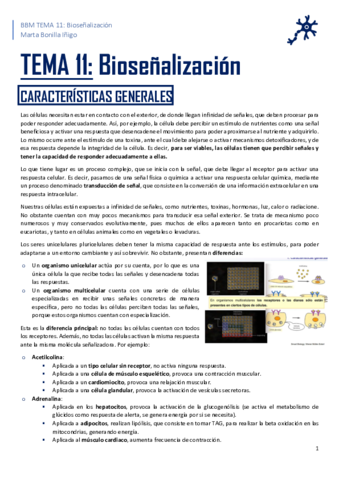 RESUMEN-TEMA-11-BBM.pdf