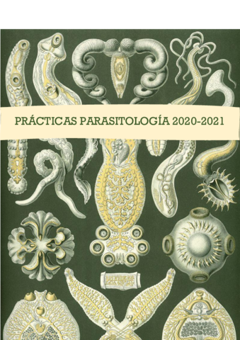PRACTICAS-PARASITOLOGIA-CURSO-2020-d.pdf