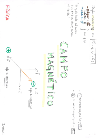 CAMPO-MAGNETICO.pdf