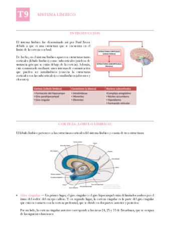 ANAT-T9-Sistema-limbico.pdf
