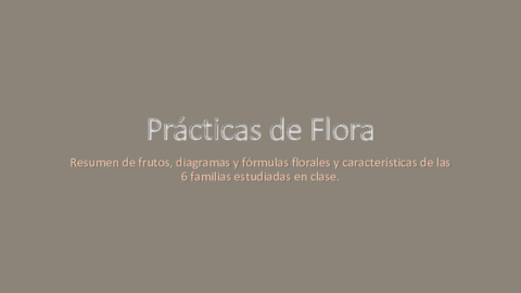 Familias-de-florapracticas.pdf