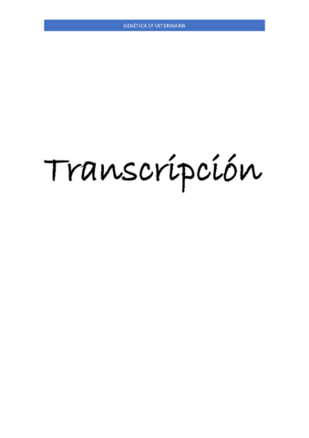 Transcripcion.pdf