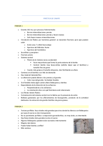 Practica-de-campo.pdf