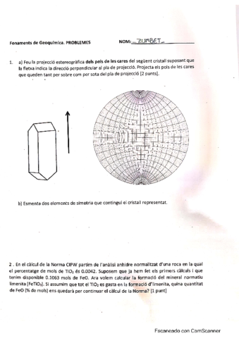 Examen Geoquimica.pdf