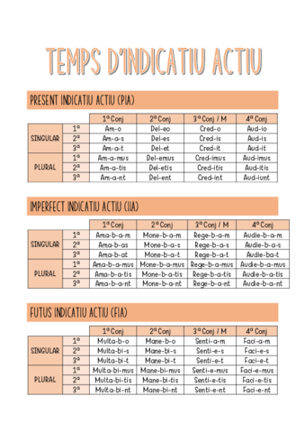 TEMPS-DINDICATIU-ACTIU.pdf