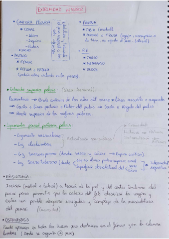 Extremidad-inferior-completa.pdf