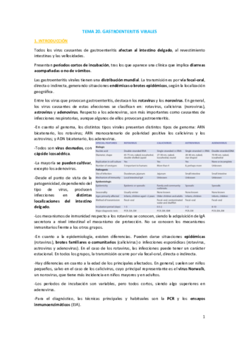 TEMA-20.pdf