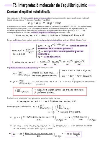 T6-Interpretacio-molecular-de-lequilibri-quimic.pdf