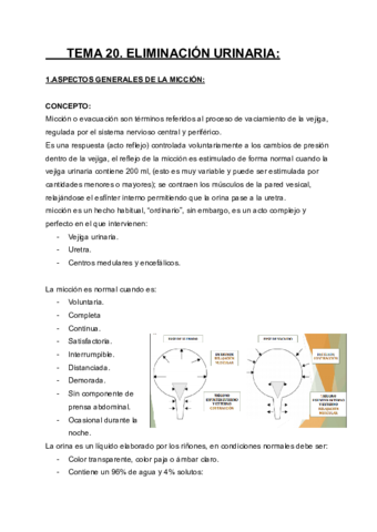 T20-.pdf