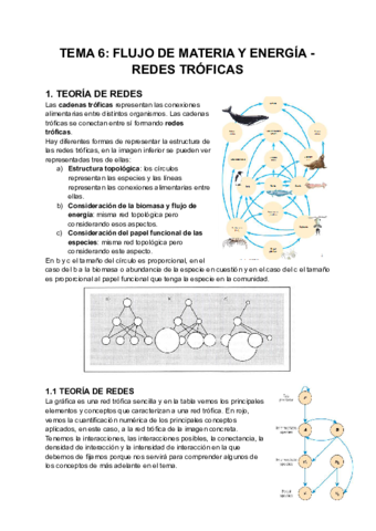 TEMA-6-FLUJO-DE-MATERIA-Y-ENERGIA-REDES-TROFICAS.pdf