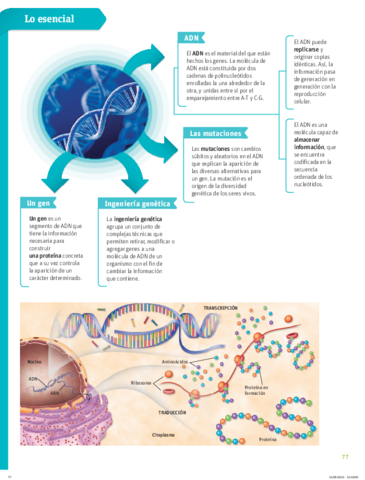 31c56edb4464643cb20b782e2072ab4d9def5f86.pdf