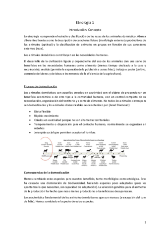 Etnologia-1.pdf