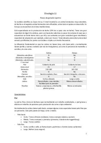 Etnologia-11.pdf