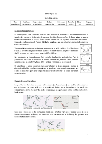 Etnologia-12.pdf