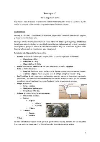 Etnologia-10.pdf