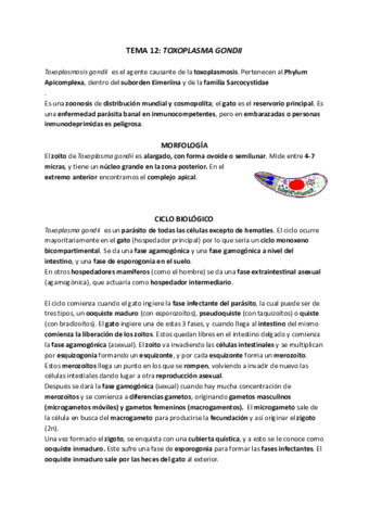 TEMA-12-TOXOPLASMA-GONDII.pdf