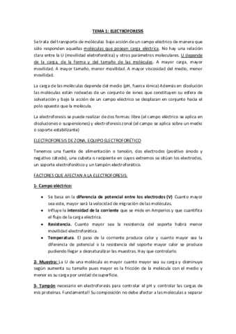 ELECTROFORESIS-COMPLETO-APUNTES.pdf