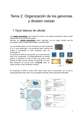 Tema-2-Organizacion-de-los-genomas-y-division-celular.pdf