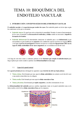 TEMA-10-BIOQUIMICA-DEL-ENDOTELIO.pdf