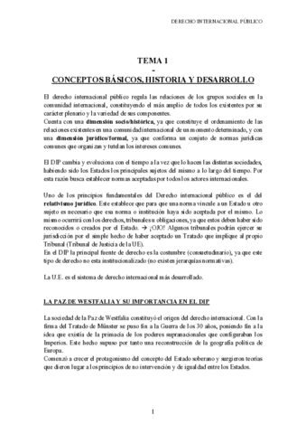 DERECHO-INTERNACIONAL-PUBLICO.pdf