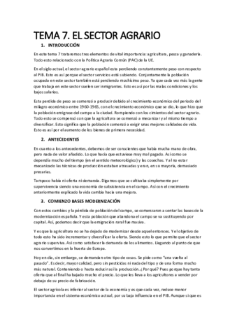 TEMA-7-economia-espanola.pdf