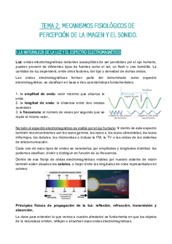 TEMA-2.pdf