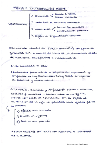 Esquemas-teoria-auditoria.pdf