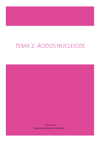 Primera-parte-tema-2.pdf