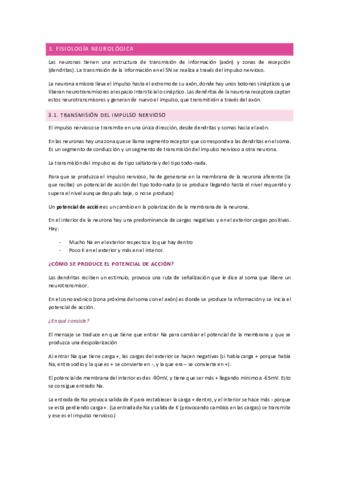 Sistema-Nervioso-Parte-2.pdf