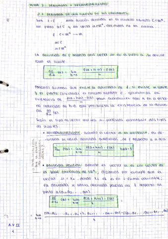 tema-2-parte-1-derivadas-y-diferenciabilidad.pdf