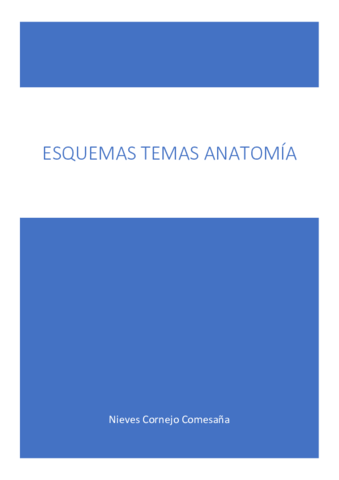 ESQUEMAS-ANATOMIA-TABLA-MUSCULOS-TRONCO-Y-CUELLO.pdf