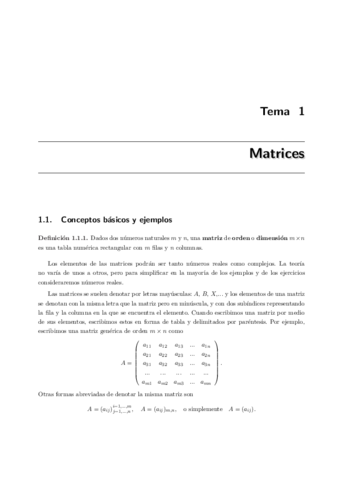 TEMA-1.pdf
