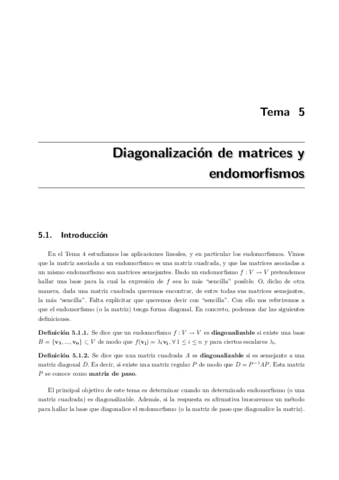 TEMA-5.pdf