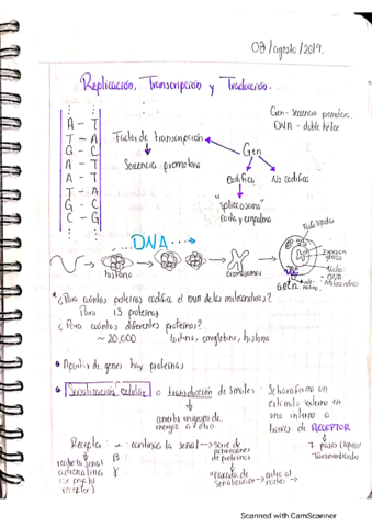 Introduccionalafisicadelcuerpohumanopt1.pdf