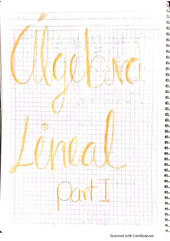 AlgebralinealFB.pdf