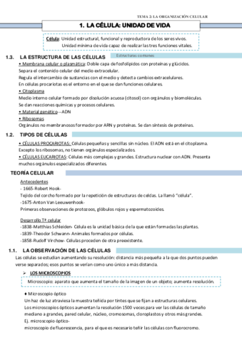 TEMA-2-organizacion-celular.pdf