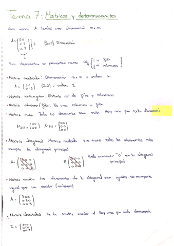 matrices-y-determinantes.pdf