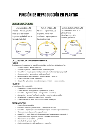 FUNCION-DE-REPRODUCCION-EN-PLANTAS-Documentos-de-Google.pdf