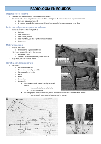 RADIOLOGIA-EQUIDOS.pdf