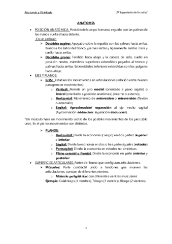 ANATOMIA.pdf