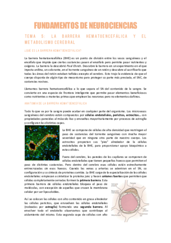 NEUROCIENCIAST5Barrera-Hematoencefalica.pdf