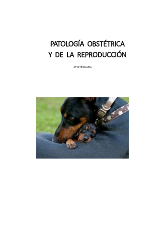 Apuntes-1o-parcial-PATOLOGIA-OBSTETRICA-Y-DE-LA-REPRODUCCION.pdf