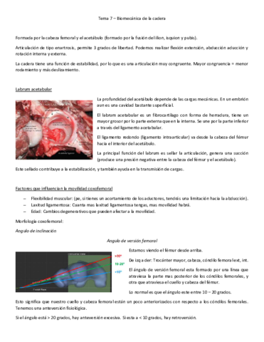 Tema-7-biomecanica.pdf